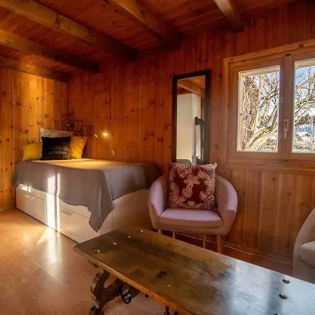 Le Genin - Spacieux Dans Le Centre De * Gryon