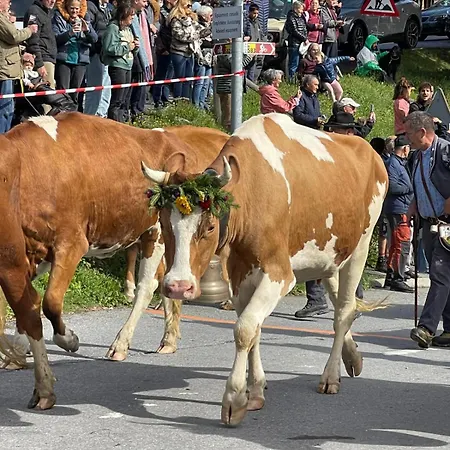 Le Genin - Spacieux Dans Le Centre De