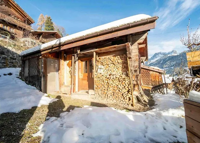 Appartement Le Genin - Spacieux Dans Le Centre De Gryon