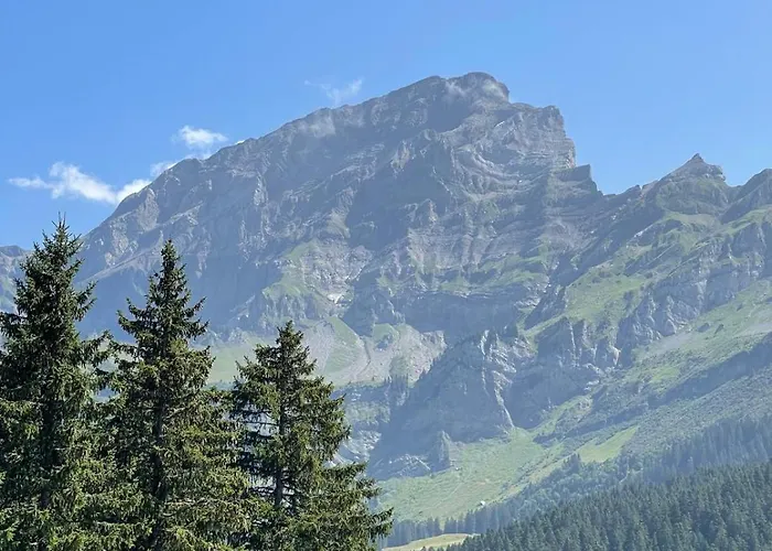 Le Genin - Spacieux Dans Le Centre De Gryon