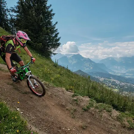 Le Genin - Spacieux Dans Le Centre De Gryon