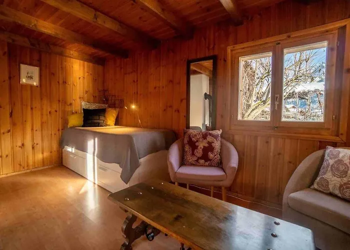 Le Genin - Spacieux Dans Le Centre De * Gryon