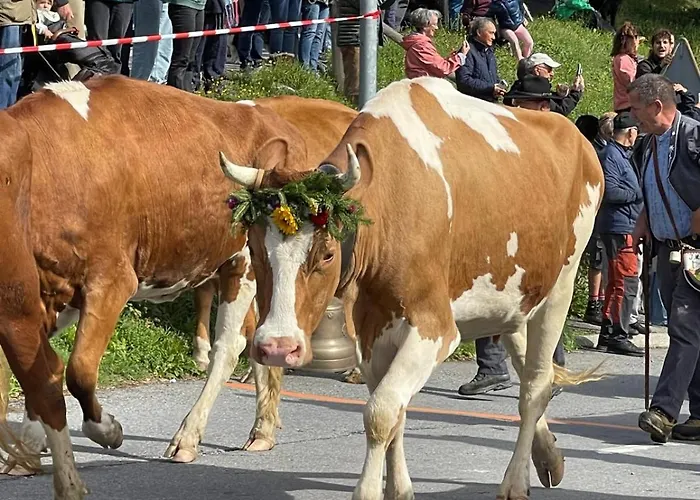 Le Genin - Spacieux Dans Le Centre De